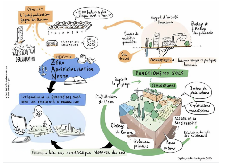 Contenu de l’article